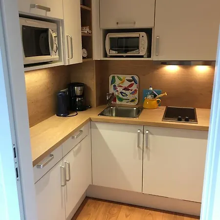 아파트 Haus Werner 람자우 암 다흐스타인